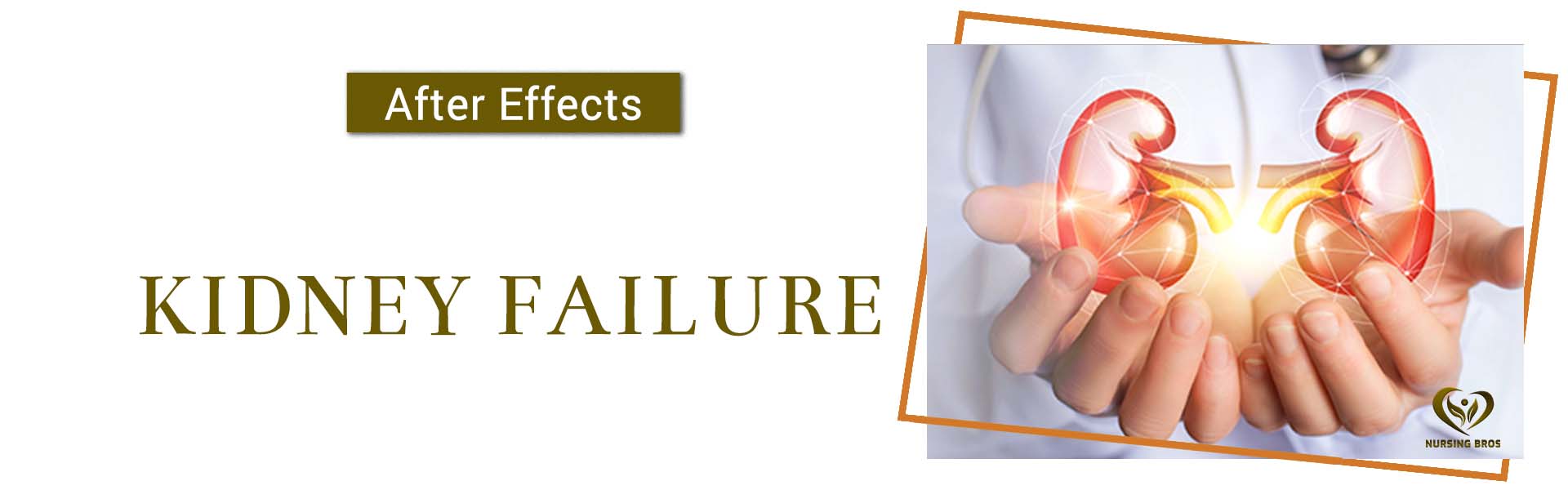 Kidney Failure desktop