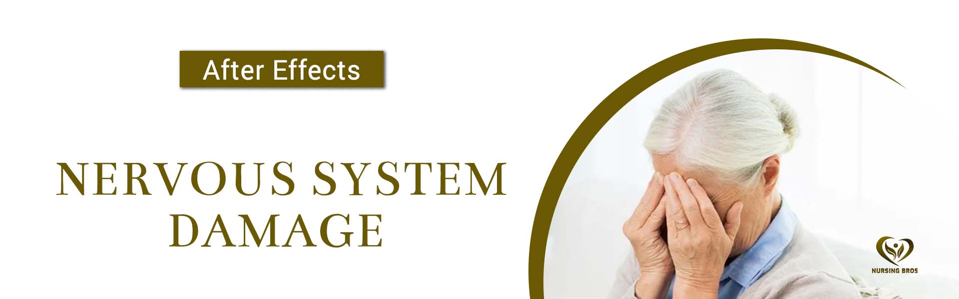 Nervous System desktop